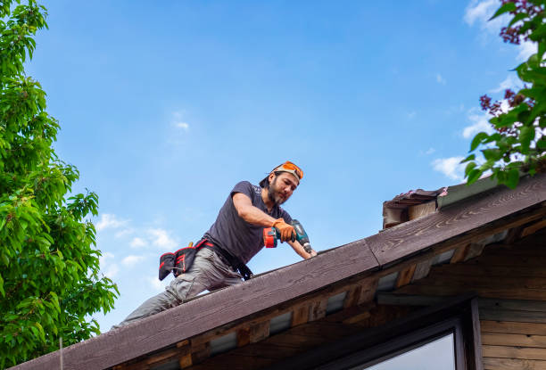 Best Storm Damage Roof Repair  in Monroe, OH